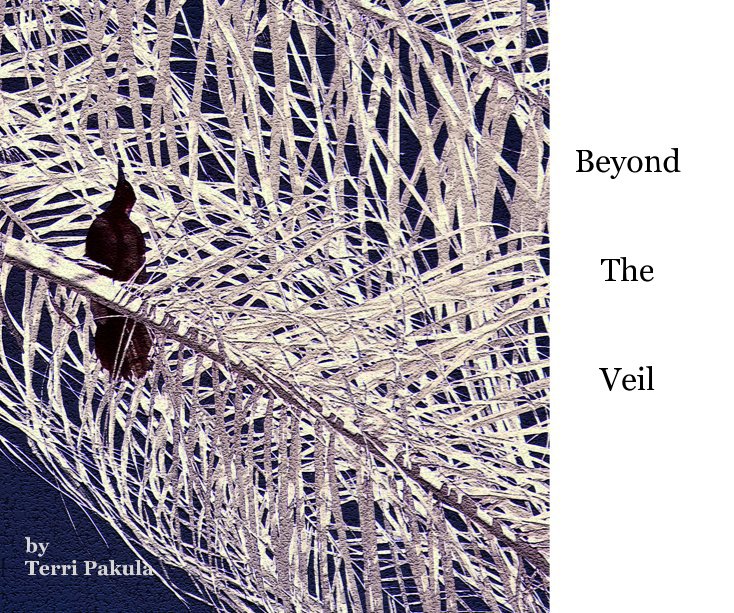 View Beyond the Veil by Terri Pakula