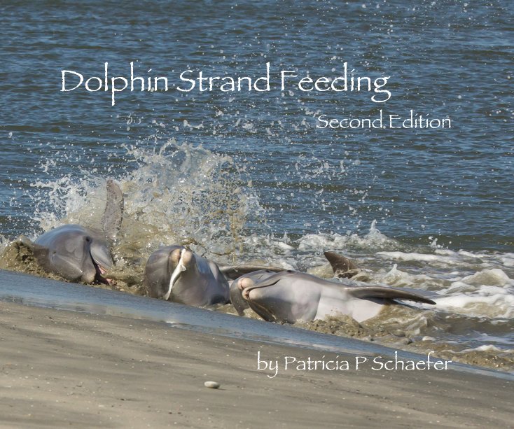 Ver Dolphin Strand Feeding por Patricia P Schaefer