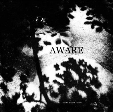 AWARE* book cover