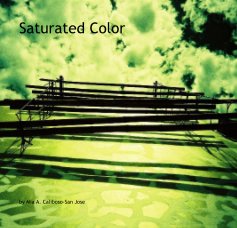 Saturated Color book cover
