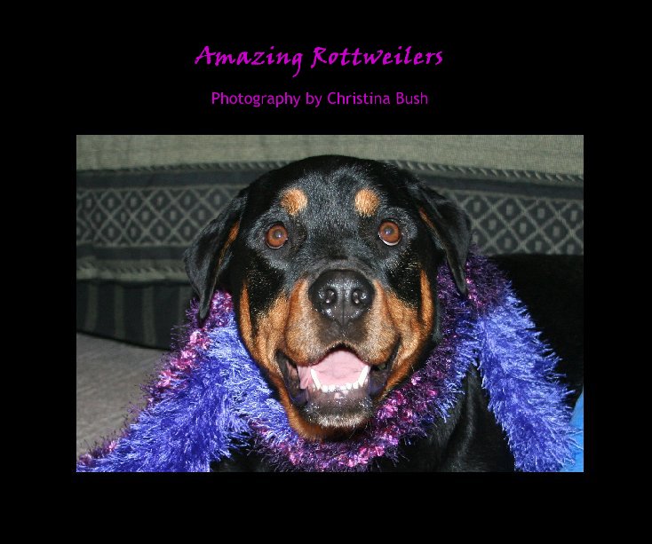 View Amazing Rottweilers by Christina Bush