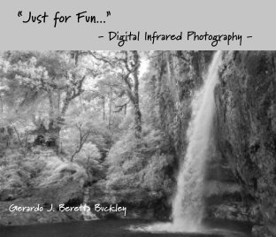 Just for Fun...Digital Infrared Photography book cover