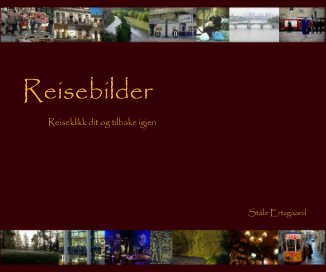 Reisebilder book cover