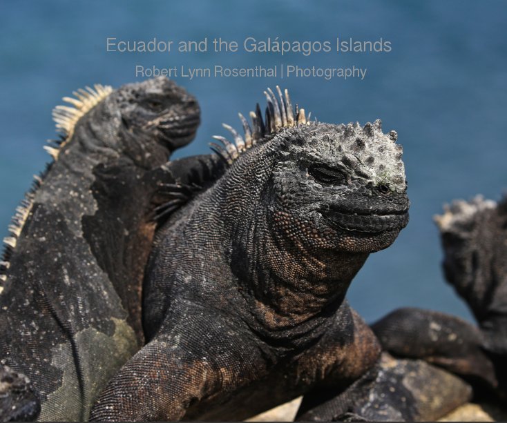 Ver Ecuador and the Galápagos Islands Robert Lynn Rosenthal | Photography por Robert Lynn Rosenthal