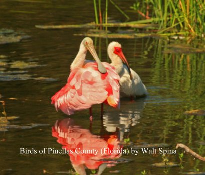 Birds of Pinellas County (Florida) book cover