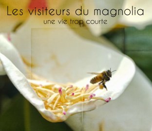 Les visiteurs du Magnolia book cover