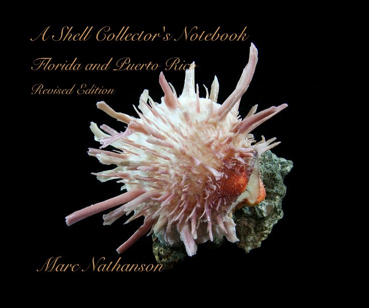 View A Shell Collector's Notebook by Marc Nathanson