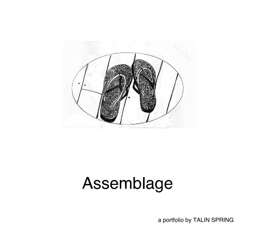 View Assemblage by a portfolio by TALIN SPRING