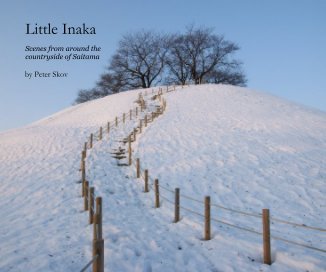 Little Inaka book cover