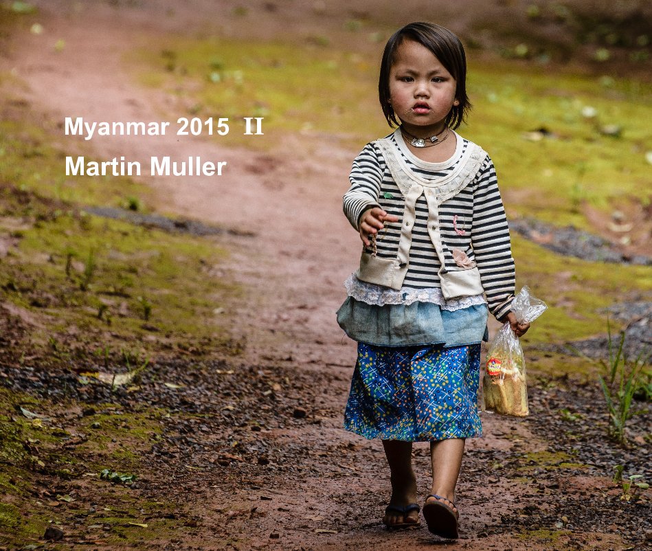 View Myanmar 2015 II by Martin Muller