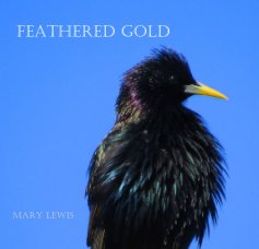 FEATHERED GOLD book cover