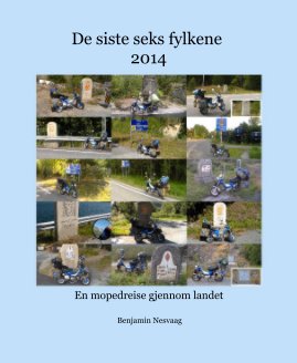 De siste seks fylkene 2014 book cover