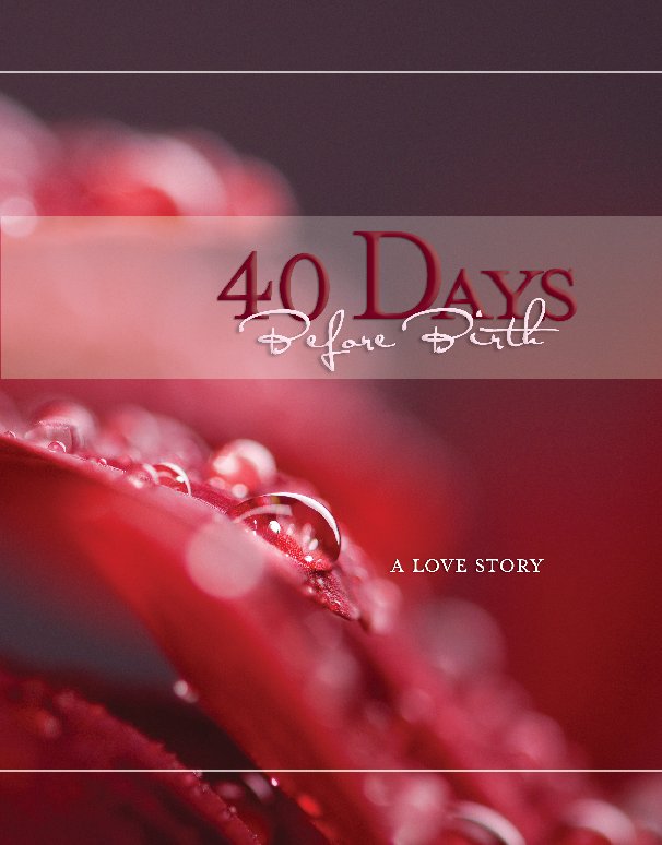 Ver 40 Days Before Birth por Jason Niedle