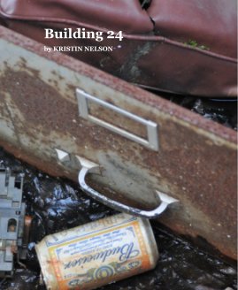 Building 24 book cover