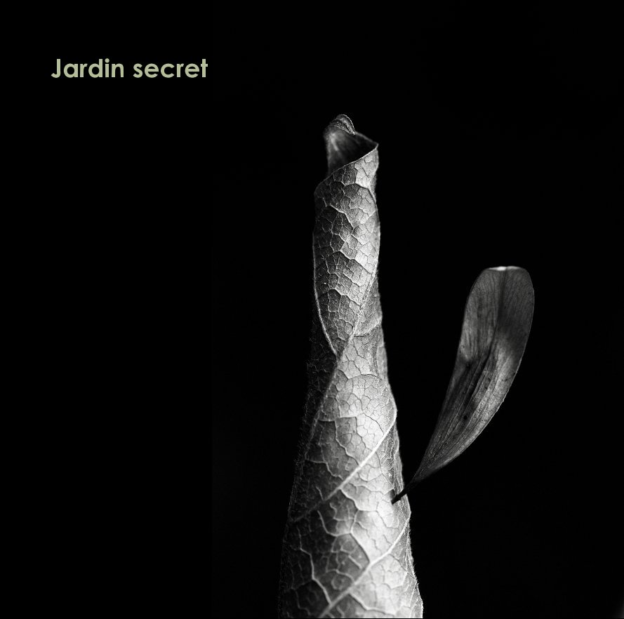 View Jardin secret by David Ponce