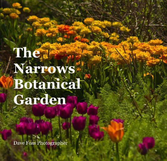 Visualizza The Narrows Botanical Garden di Dave Foss Photographer