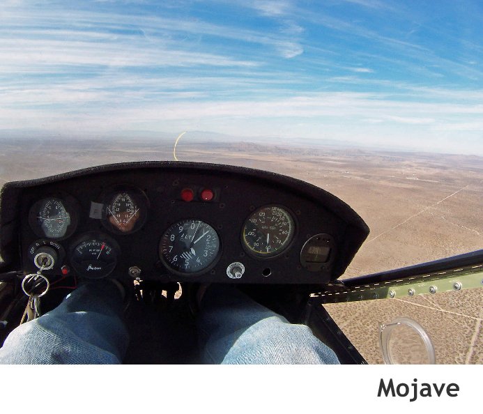 View Mojave by Richard Raskoff