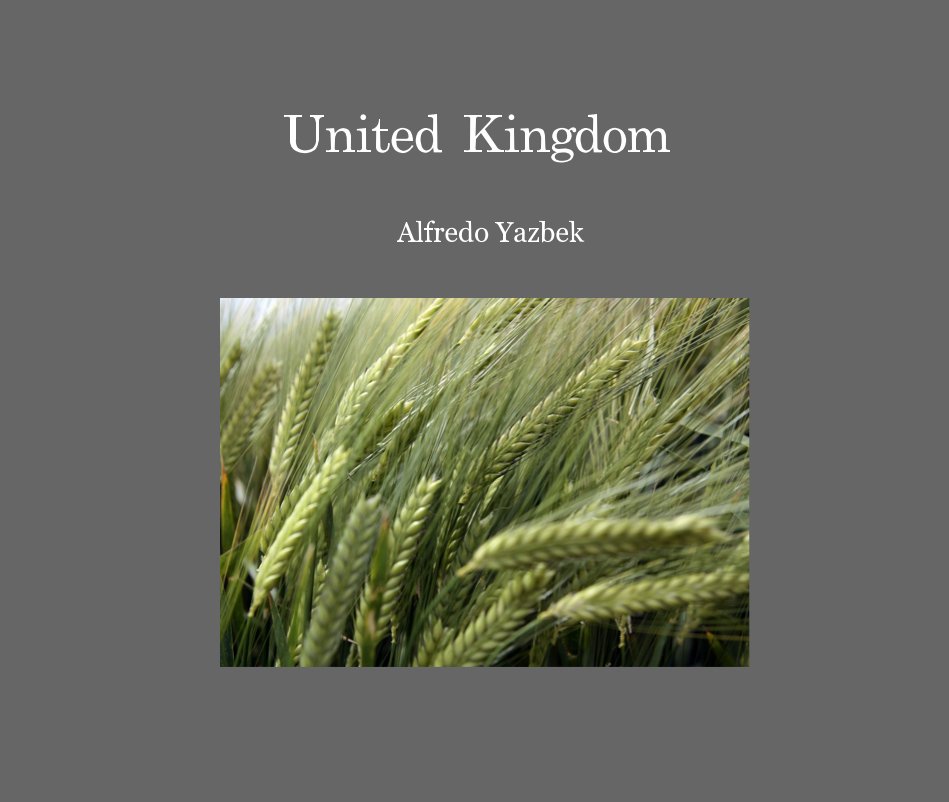 View United Kingdom by Alfredo Yazbek