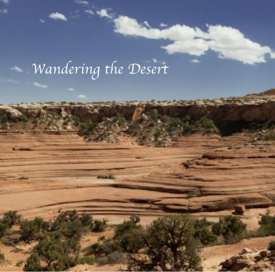 Wandering the Desert book cover