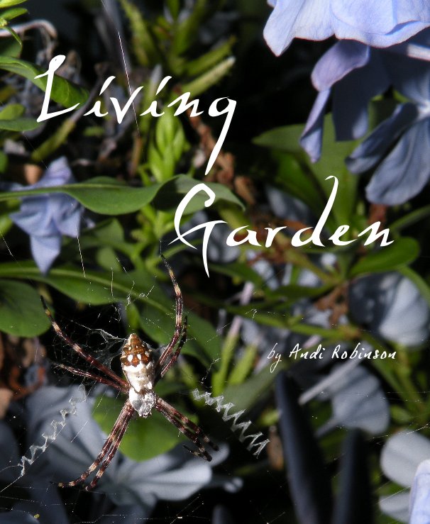 View Living Garden by Andi Robinson