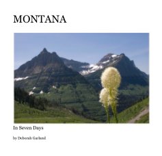 MONTANA book cover
