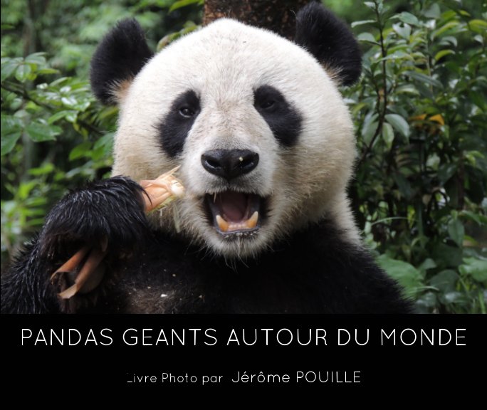 Bekijk Pandas géants autour du monde op Jérôme POUILLE