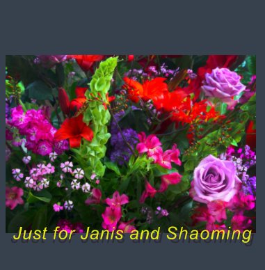 Just for Janis and Shaoming book cover