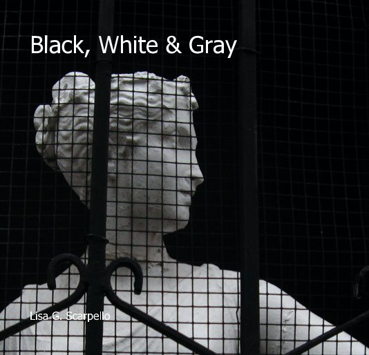 Ver Black, White & Gray por Lisa G. Scarpello