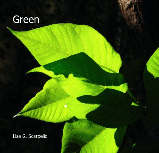 View Green by Lisa G. Scarpello