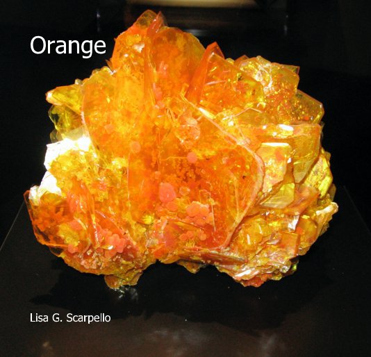 Ver Orange por Lisa G. Scarpello