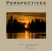 Perspectives, Vol. 4 no. 1 book cover