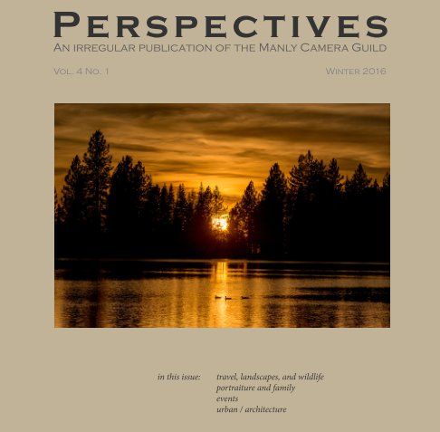 Ver Perspectives, Vol. 4 no. 1 por Birnbaum (ed.), et al.