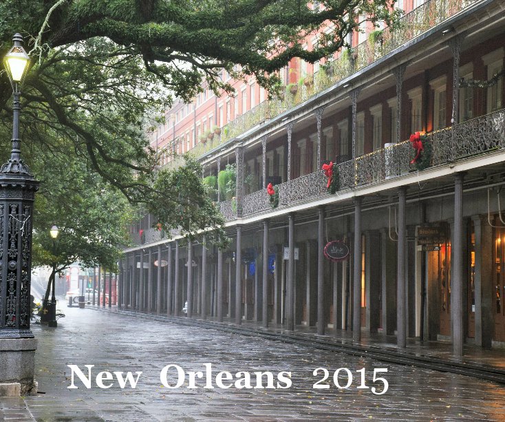 Ver New Orleans 2015 por faye sheffield