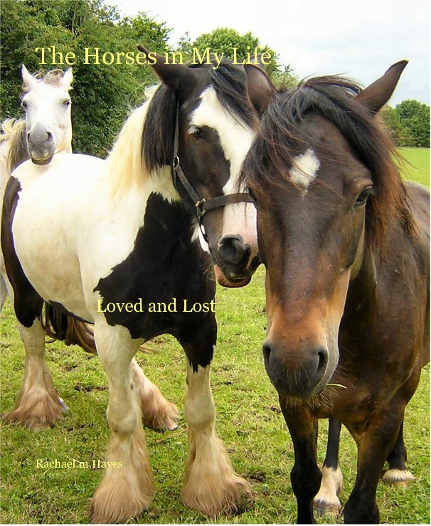 View The Horses in My Life by Rachael.m.Hayes