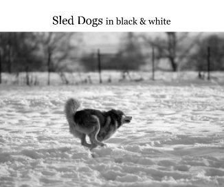 Sled Dogs in black & white book cover
