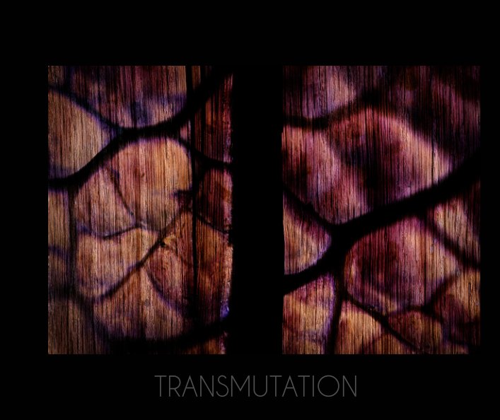View Transmutation by Henri Deroche