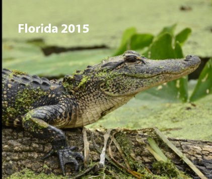 Florida 2015 book cover