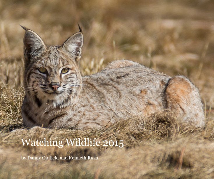 Ver Watching Wildlife 2015 por Danny Oldfield