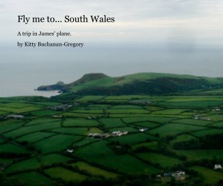 Fly me to... South Wales book cover