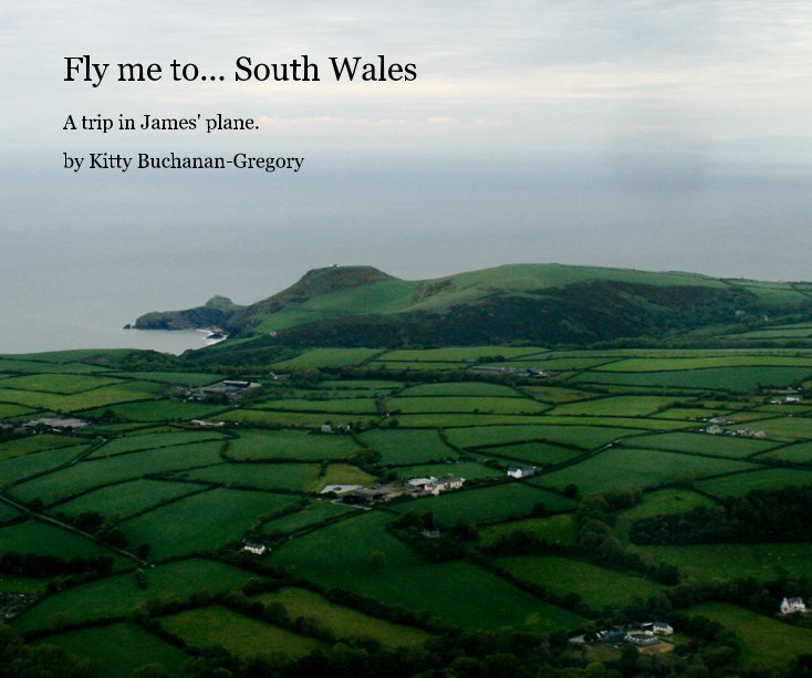 View Fly me to... South Wales by Kitty Buchanan-Gregory