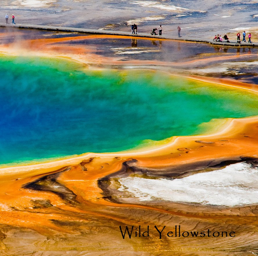 Bekijk Wild Yellowstone op Marina