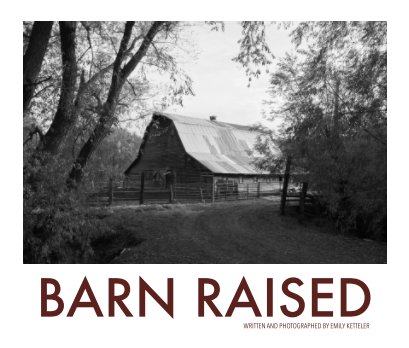 Barn Raised book cover