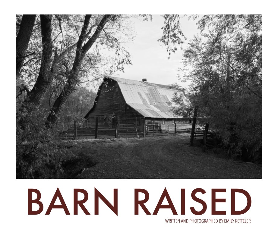 Visualizza Barn Raised di Emily Ketteler