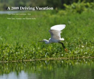 A 2009 Driving Vacation book cover