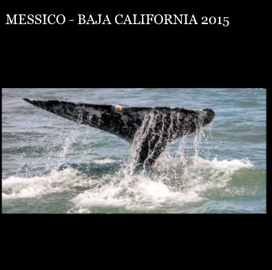 MESSICO - BAJA CALIFORNIA 2015 book cover