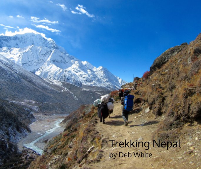 View Trekking Nepal by Deb White
