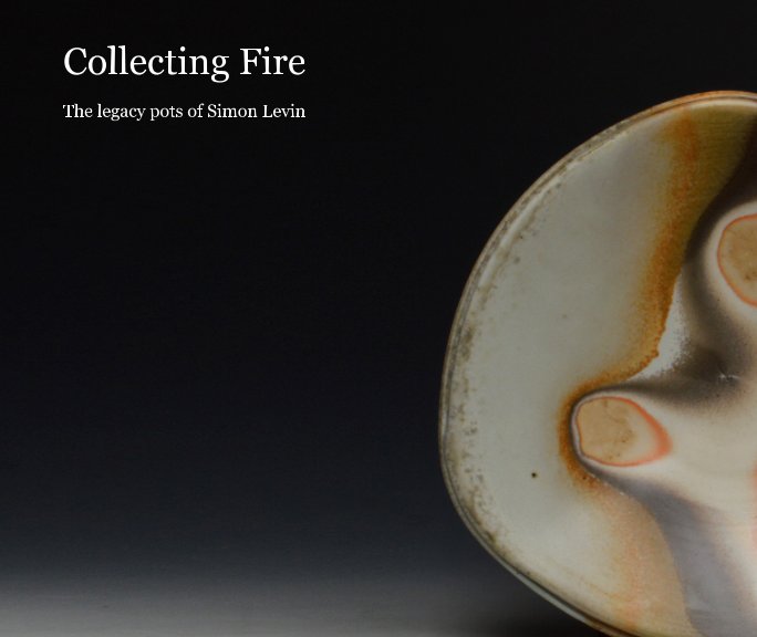 View Collecting Fire by Simon Levin.  Photos by Liz Vukelich