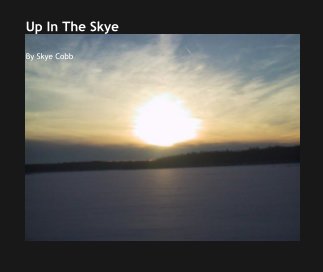 Up In The Skye book cover