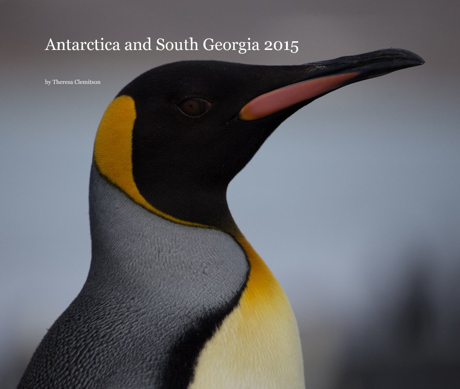 View Antarctica and South Georgia 2015 by Theresa Clemitson