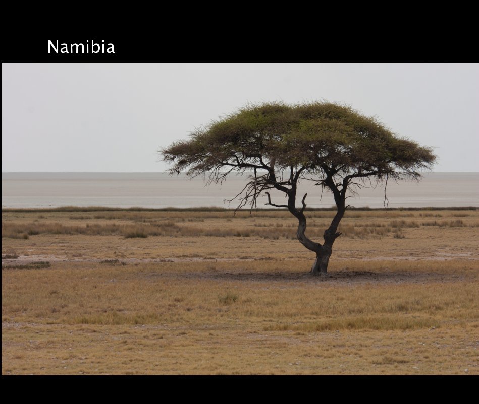 View Namibia by Matteo Berte
